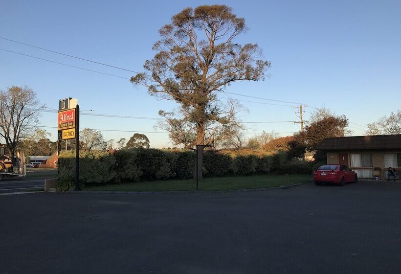 酒店 Alfred Motor Inn