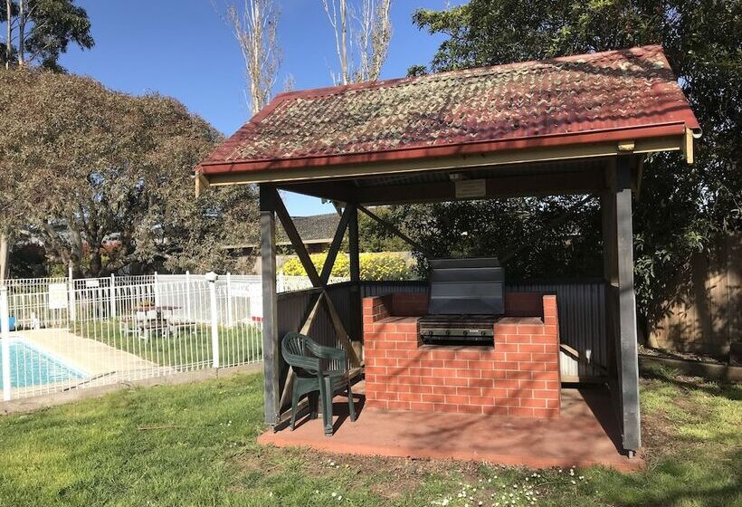 酒店 Alfred Motor Inn