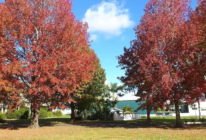 Отель Colonial Court Motor Inn