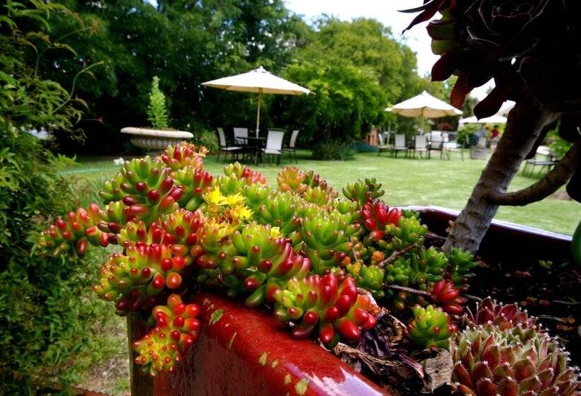 酒店 Wine Village Motor Inn