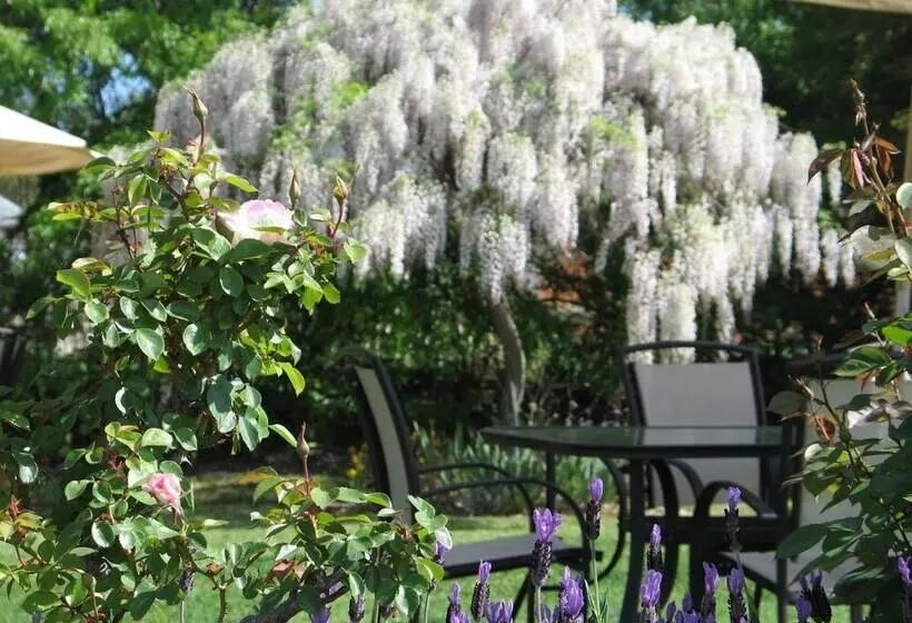 酒店 Wine Village Motor Inn