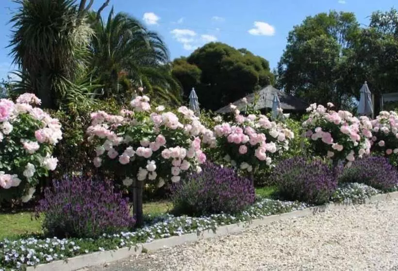 酒店 Wine Village Motor Inn