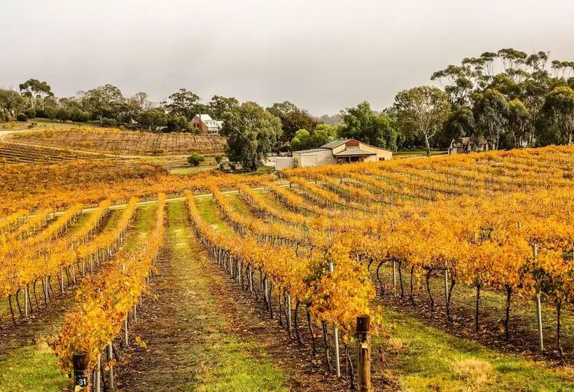 בית מלון כפרי The Louise