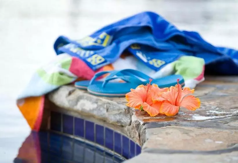 Loxton Community Hotel Motel