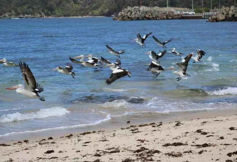 Sandpiper Motel Ulladulla