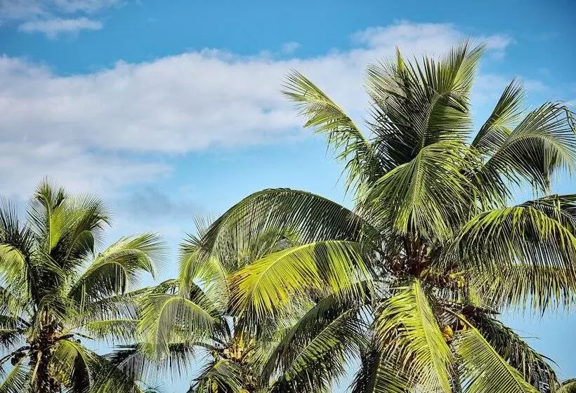 Abaco Beach Resort And Boat Harbour Marina