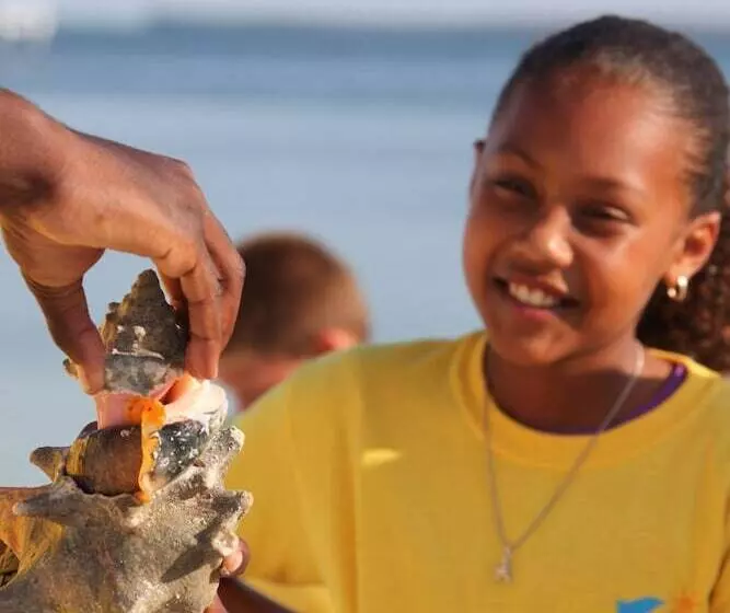 Abaco Beach Resort And Boat Harbour Marina