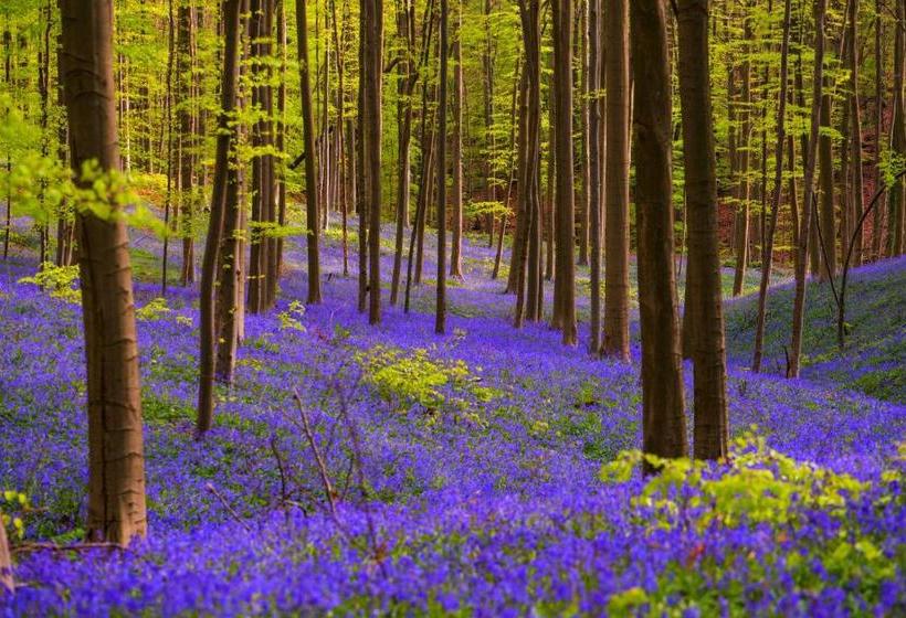 호텔 Kasteel Gravenhof