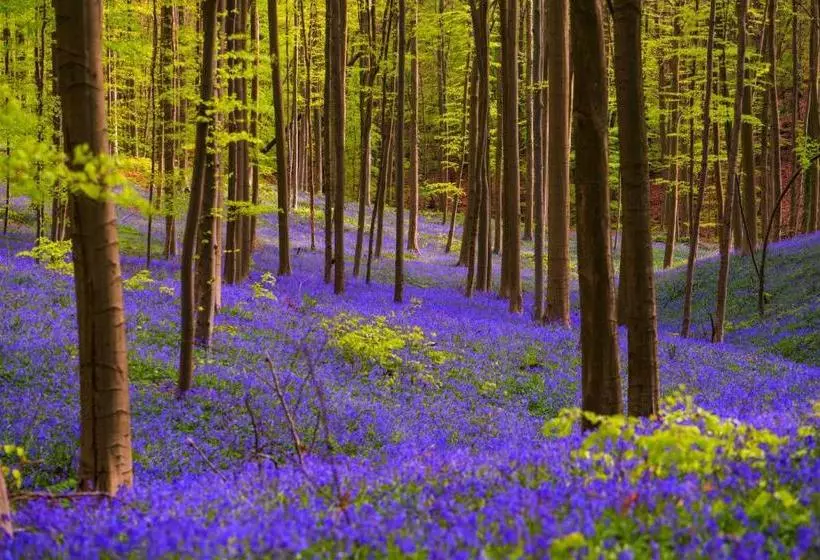 Hotel Kasteel Gravenhof
