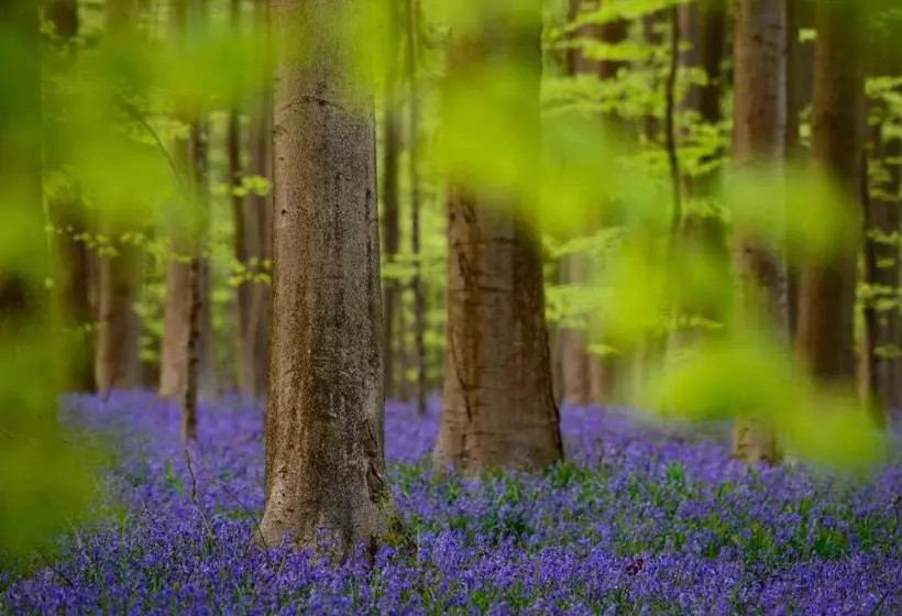 Hotel Kasteel Gravenhof