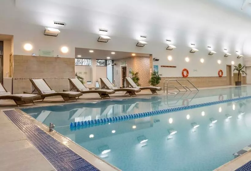 Ashford International Hotel & Spa