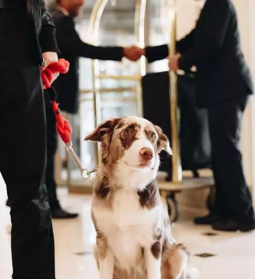 هتل Grand Mercure Sp Ibirapuera