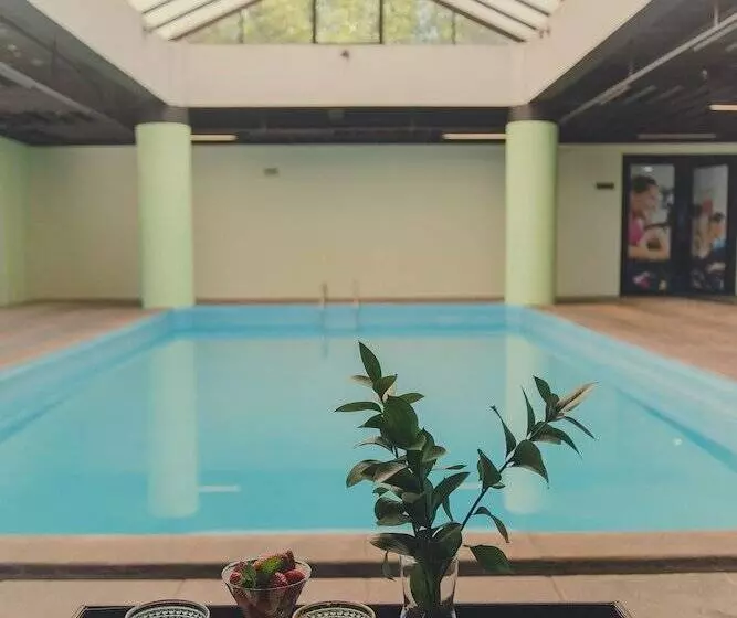 酒店 Swan Novo Hamburgo