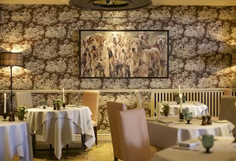 Отель The Bay Tree