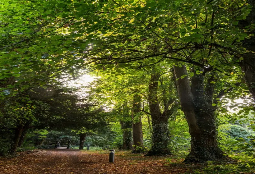 Bosworth Hall Hotel & Spa