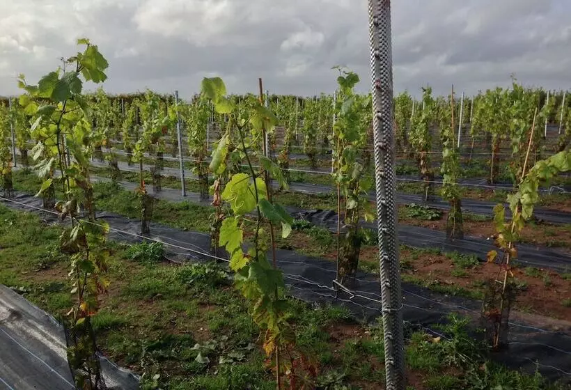 ホテル Granary Villa