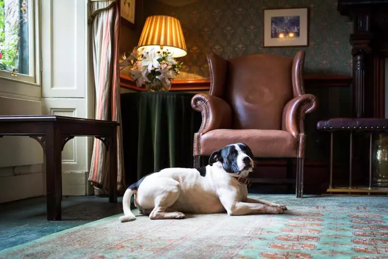 Отель No 1 By Guesthouse, York