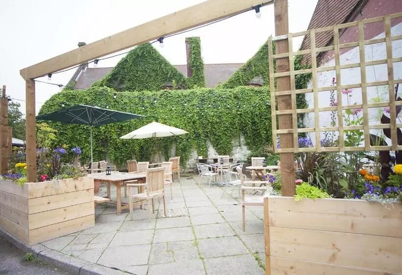 Отель Norfolk Arms