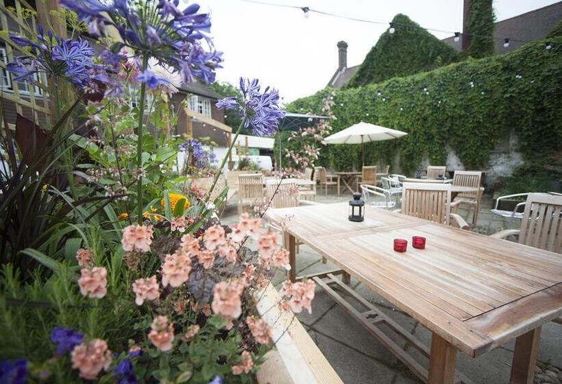 فندق Norfolk Arms