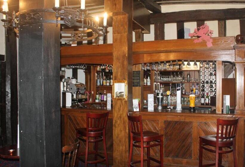 فندق Brook Red Lion