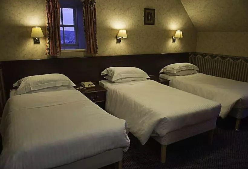 Отель The Queen S