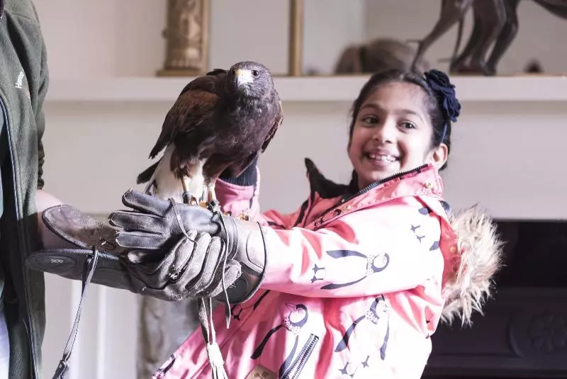 בית מלון כפרי The Royal