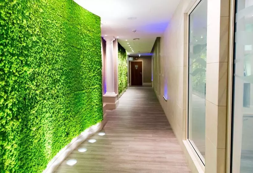 Отель The Royal Yacht