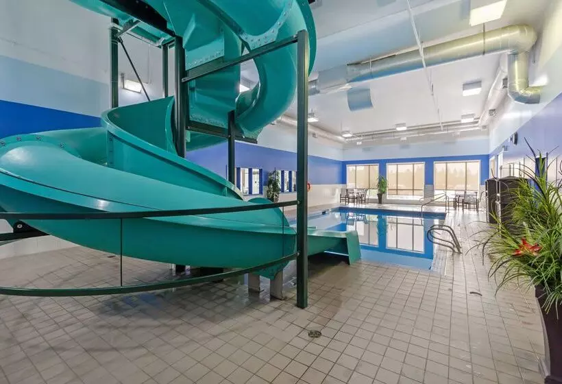 호텔 Best Western High Road Inn