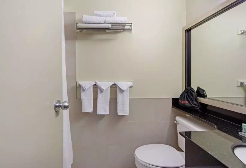 호텔 Best Western High Road Inn