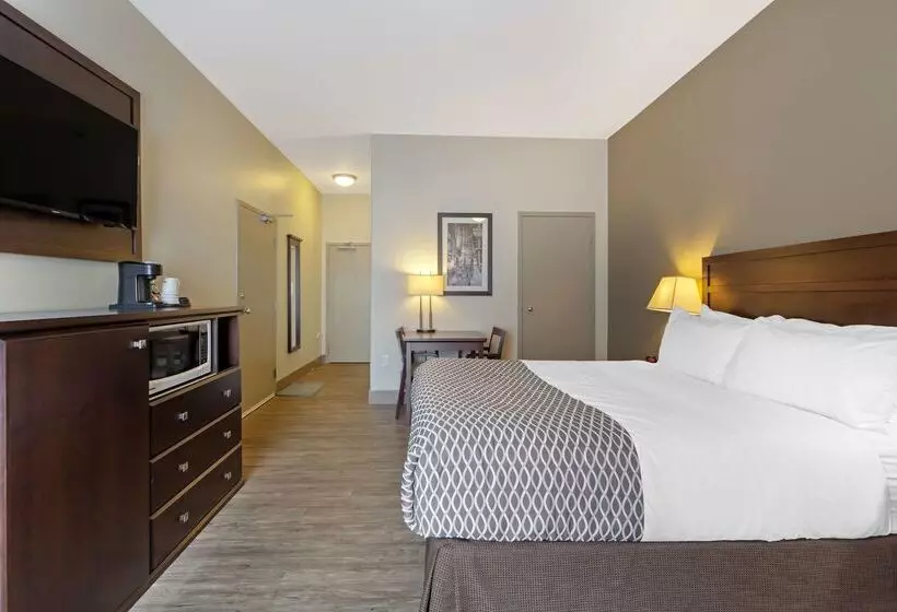 호텔 Best Western High Road Inn