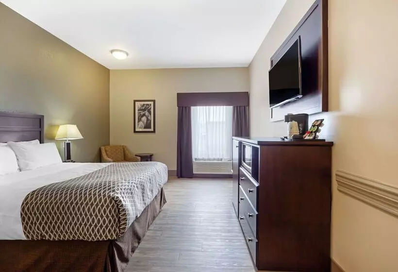 호텔 Best Western High Road Inn