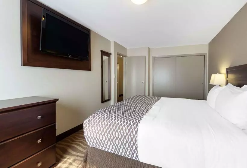 호텔 Best Western High Road Inn