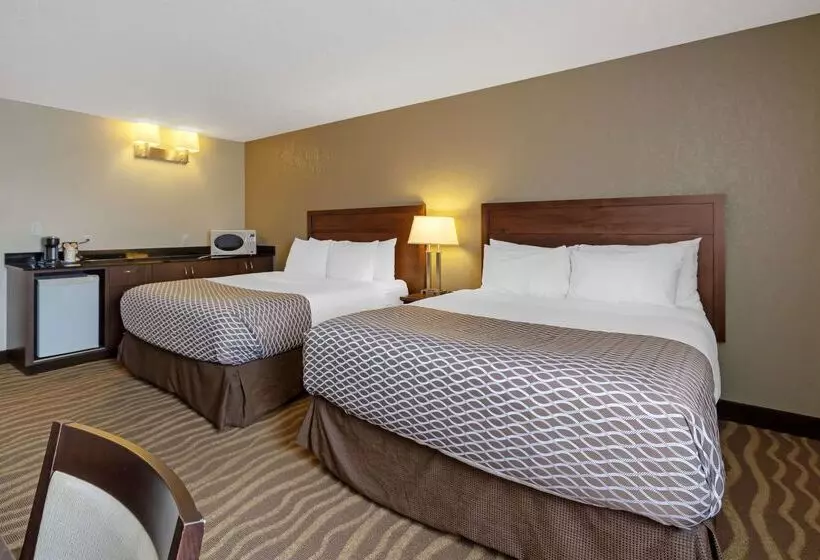 호텔 Best Western High Road Inn