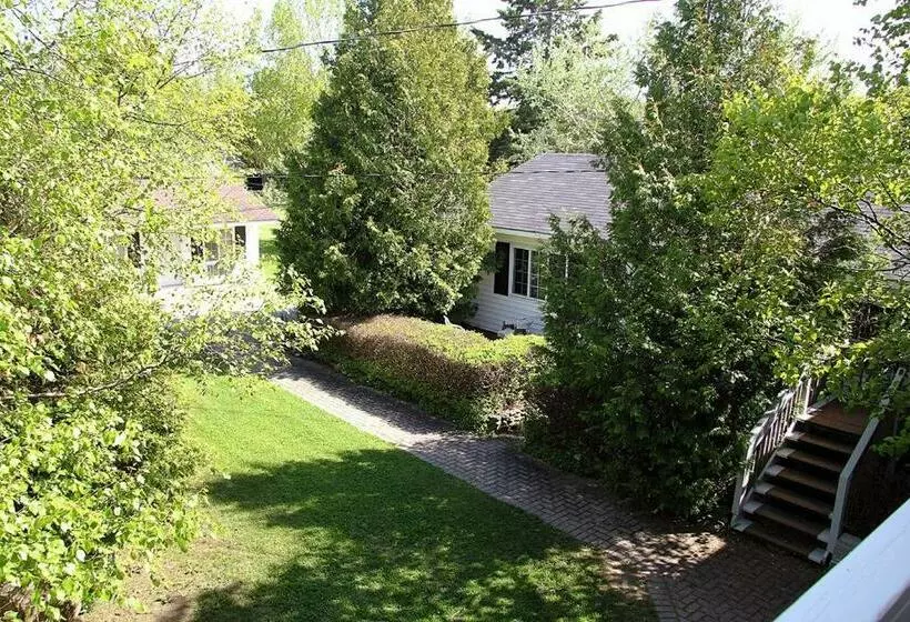 Отель Coach House Inn