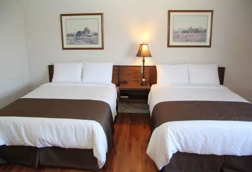 Отель Coach House Inn