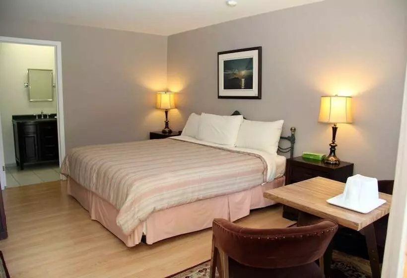 Отель Coach House Inn