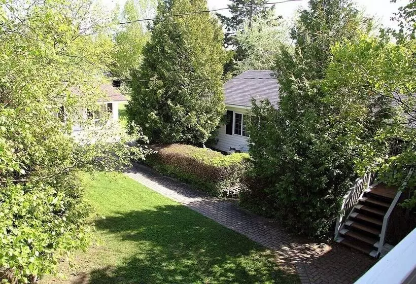 Отель Coach House Inn