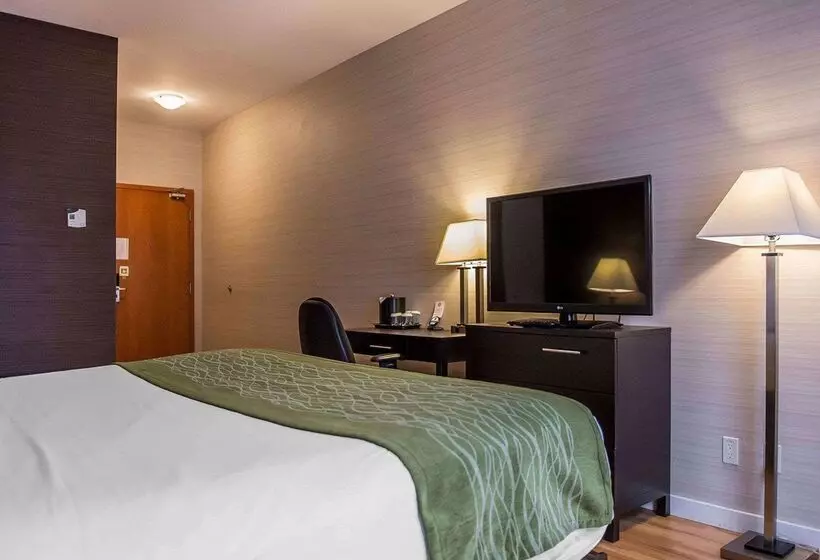 ホテル Comfort Inn