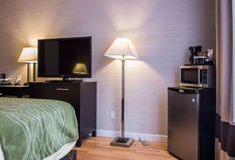 ホテル Comfort Inn