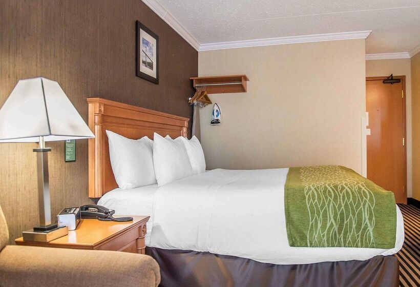 Отель Comfort Inn