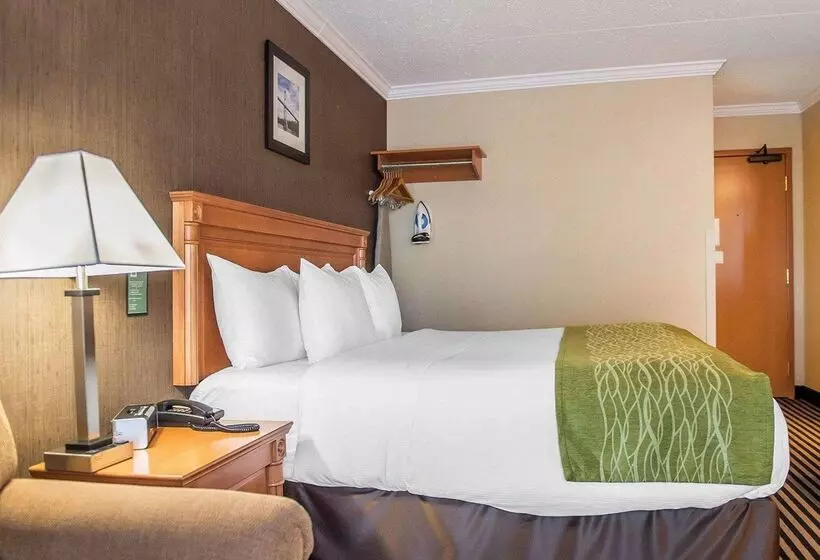 ホテル Comfort Inn