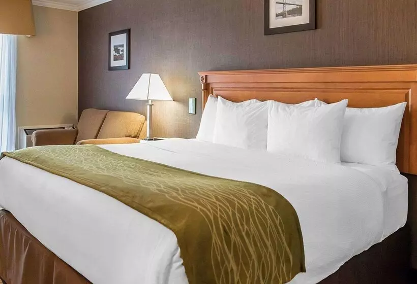 ホテル Comfort Inn