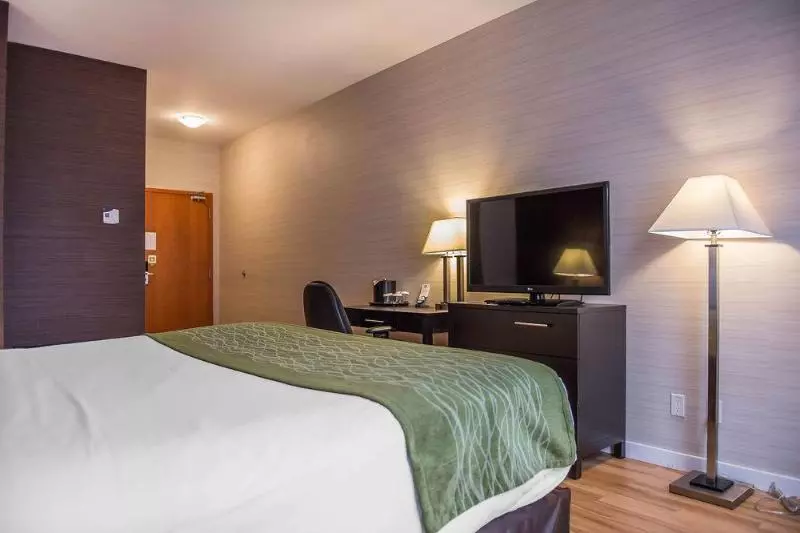 ホテル Comfort Inn