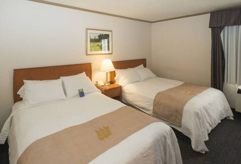 Hotel Days Inn By Wyndham Drayton Valley