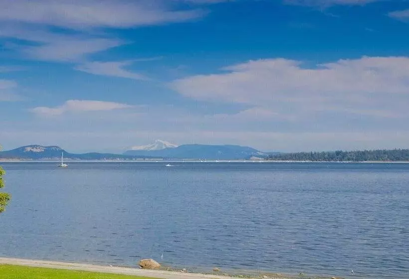 Отель The Cedarwood Inn & Suites