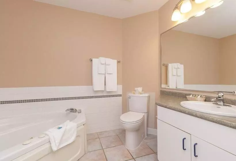 Отель The Cedarwood Inn & Suites