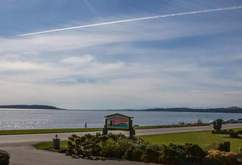 Отель The Cedarwood Inn & Suites