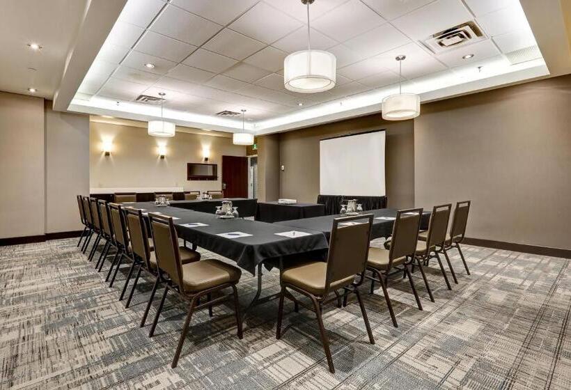 Hotel Four Points By Sheraton Toronto Mississauga