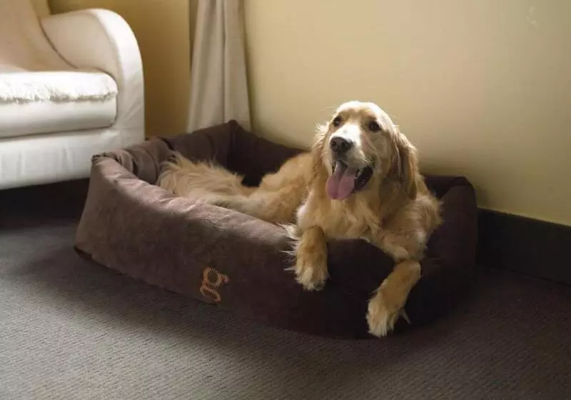 هتل Hôtel Le Germain Québec