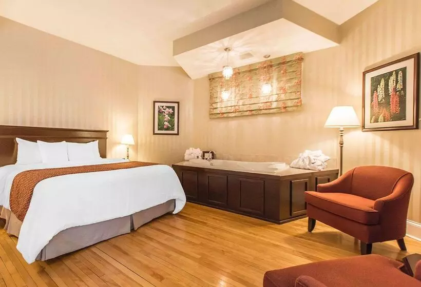 酒店 Quality Inn & Suites Downtown